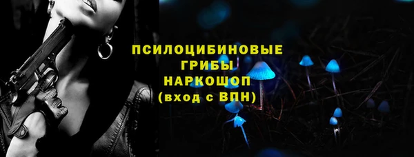 ешки Медногорск