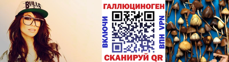 хочу наркоту  Оса  Галлюциногенные грибы Psilocybe 